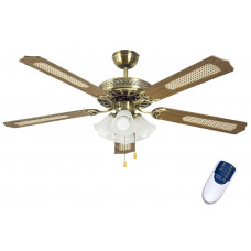 Dreamfan Classic RC 132